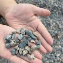 대운전기 | 울산 대운산 하늘숲 야영장 무료 개장 - 신상 군립 야영장 솔직후기 예약방법