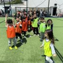 바른태권도 이미지