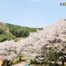 교촌리경로당 이미지