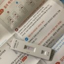 광주보건대학교 | 2024년도 광주보건대학교 식품산업기사 실기 후기 벼락치기 꿀팁