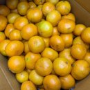 정우네농장 이미지