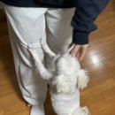 지에스25 송도힐스점 이미지