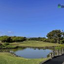 크라운CC | 제주도 2인 플레이 가능한 제주 크라운cc 예약 후기
