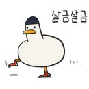벨트야놀자