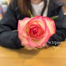 힐링플라워 | 연남동에서 힐링하기 주드플라워 꽃다발 원데이 클래스 후기