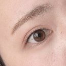 허니원데이 브라운 알프스안경위드렌즈영등포지하상가점에서 구매 후기, 자연스러운 원데이 렌즈 추천