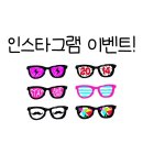 진정식복싱클럽 이미지