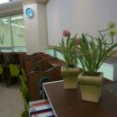 웰던외국어학원 이미지