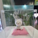 김공자 | 2025 경기국제웹툰페어