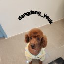 따봉 이미지