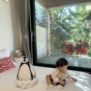 MIEUM | 제주 유아 숙소 추천 | 이유식만들어주는 펜션 | 미음 MIEUM | 돌아기 방문후기