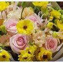 더플로라 이미지