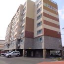 표선리-25 이미지