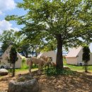 전궁로 | 용인 캠핑야미 텐트 속 바베큐와 신나는 물놀이까지