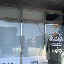탄탄하개 유치원 | [충주] 서충주 강아지 유치원 탄탄하개유치원 이용 후기