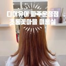 비단마을 영풍(아) | 초롱꽃마을미용실 디어유어 파주운정점, 클리닉으로 찰랑이는 머릿결 된 후기!