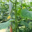 선기농장 이미지