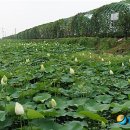 미당시문학관 이미지