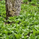 김종희농장 이미지