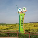 꽃밭에서농장직영 이미지