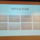 고양이병원 소설 이미지