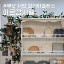 아르깡시엘 | 부산 서면 원데이클래스 아르깡시엘 초보도 어렵지 않은 도자기 공방 내돈내산 후기