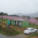 황룡농협주유소 이미지