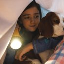 베일리 베일리 이미지