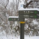 음정마을 이미지