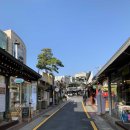 슬로우포레스트 이미지