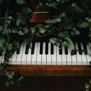 서늘기교 이미지