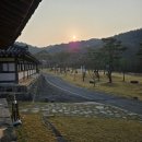 위앤장서천내과의원 | 2025년 04월 03일 김동글의 일기 (🌼서천 시댁 방문 2일차🌼 : 4년 만의 은파호수공원 산책🤭💜)