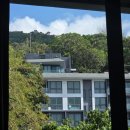 괭이바다 | [태국 9박 10일]끄라비(Krabi)여행 4일차 후기(차이티/라일레이 비치/프라낭 동굴/고댕국수)