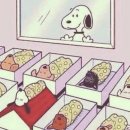 박상은 | [출산] 일산차병원 2인실, 1인실 후기 / 제왕절개 출산일기