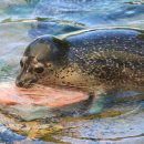 서울대공원 이미지