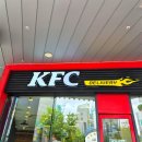 KFC 메뉴 시그니처 징거버거 생일 쿠폰 에그타르트 후기