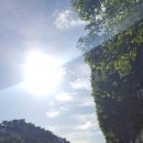 팔레샵 이미지