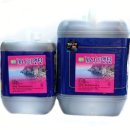 광천한양토굴새우젓 이미지