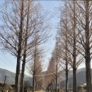 땅끝순례문학관 | [경상남도 ~ 전라남도 2박3일](2일) 다올우리콩두부사랑 -고산윤선도유적지(녹우당) -유선관(❣️재방문...