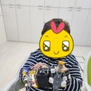 엑스로보(로봇코딩) 이미지