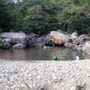 사지목나무그늘 이미지