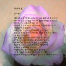 피어라꽃