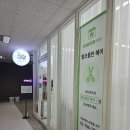 여의도미용실 샛강역미용실 KBS별관미용실 추천 / 유목민 정착 미용실 [함초롬한헤어] ♥