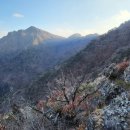 비밀의 정원 이미지