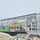 샘그린 협동조합 | 곳 찾는다면? 아이들만 좋아할 줄 알았는데 어른이 더 신났던 그린티플 체험형 스마트팜 감자칩만들기 후기