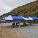 대구천막 몽골텐트 캐노피 이벤트 행사
