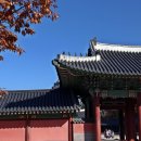 비원 Daum카페