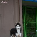 라띠