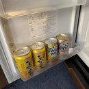 청사초롱마트 | [오키나와 태교여행] 1일차 (릴렉스렌터카/콜렉티브호텔/국제거리/부치쿠모치)