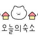 제주애월당귤 이미지